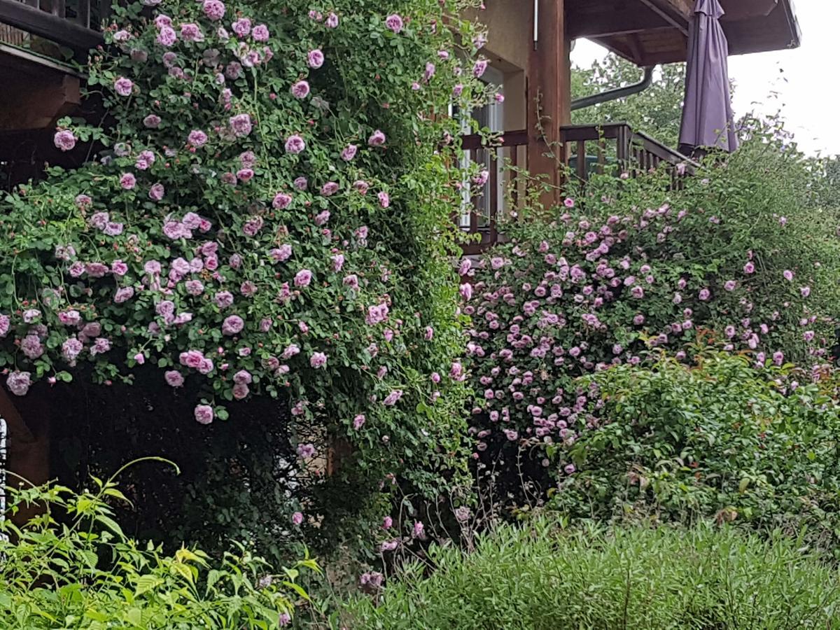 A La Petite Maison Гап Екстериор снимка